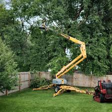 Trusted Granite, OK Tree Services Experts